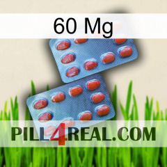 60Mg 05